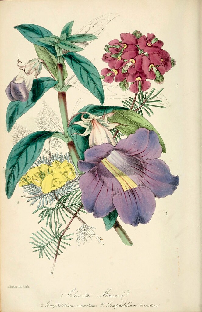 Composition florale sur mesure pour mariage et événement